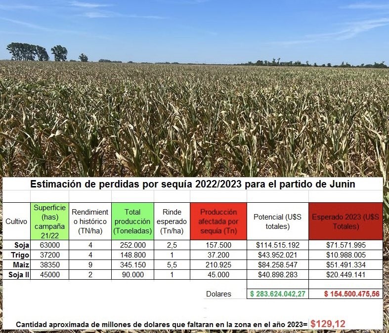 La sequía en Junín se llevó 3 presupuestos municipales enteros