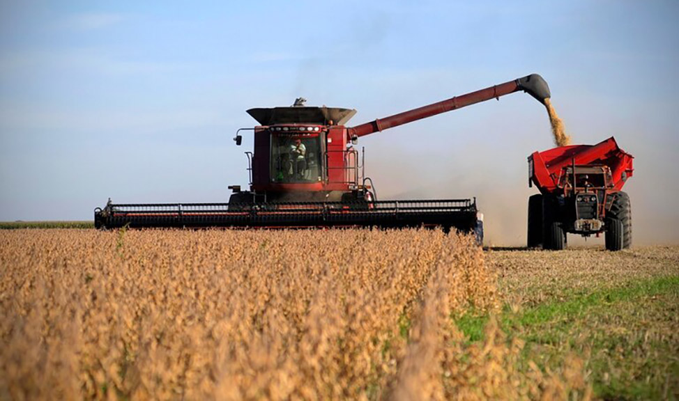 Junín: Desazón por la enorme caída en los rindes de soja y maíz