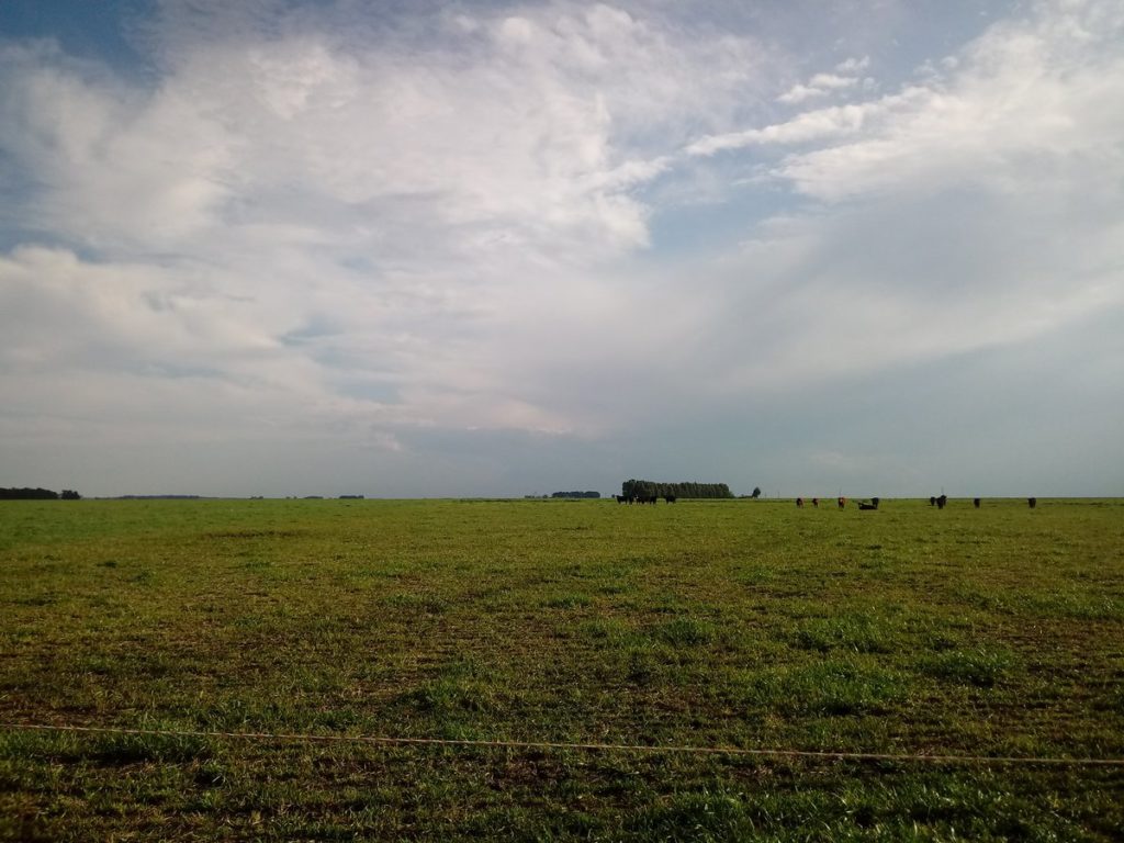 Las lluvias atenuaron el impacto de la seca pero hay pérdidas irrecuperables