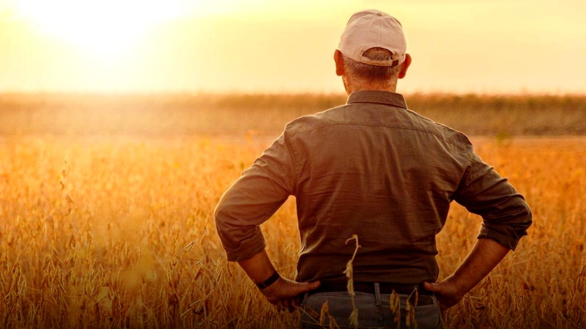 Junín: Desazón por la enorme caída en los rindes de soja y maíz