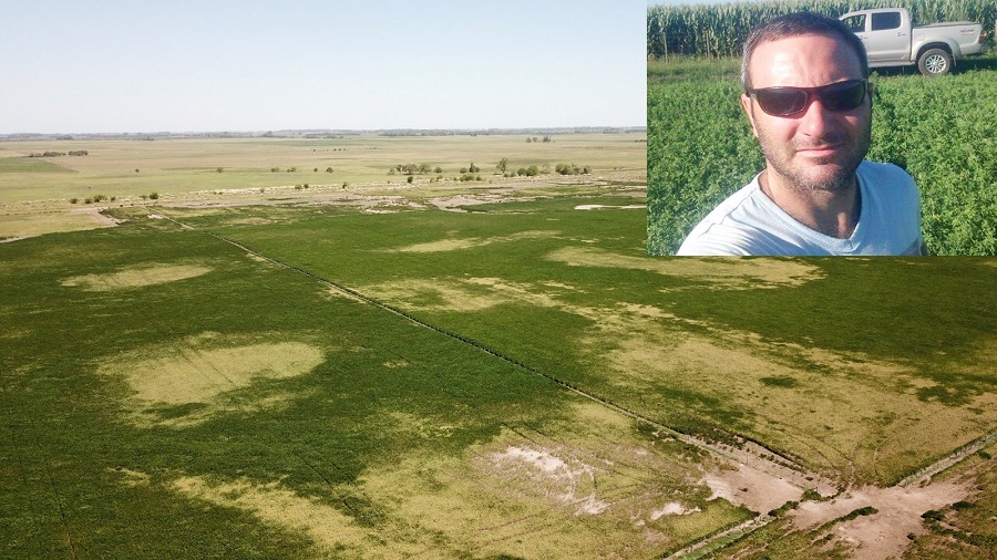 Los productores de Junín están siendo “masacrados por la sequía”
