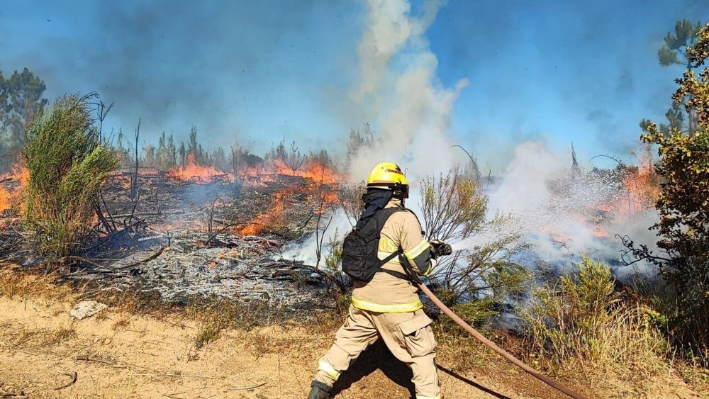 Incendios en Chile: al menos 13 muertos