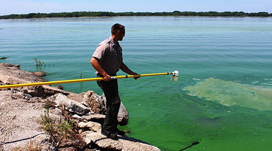 Cianobacterias: alerta naranja para la Laguna de Gómez