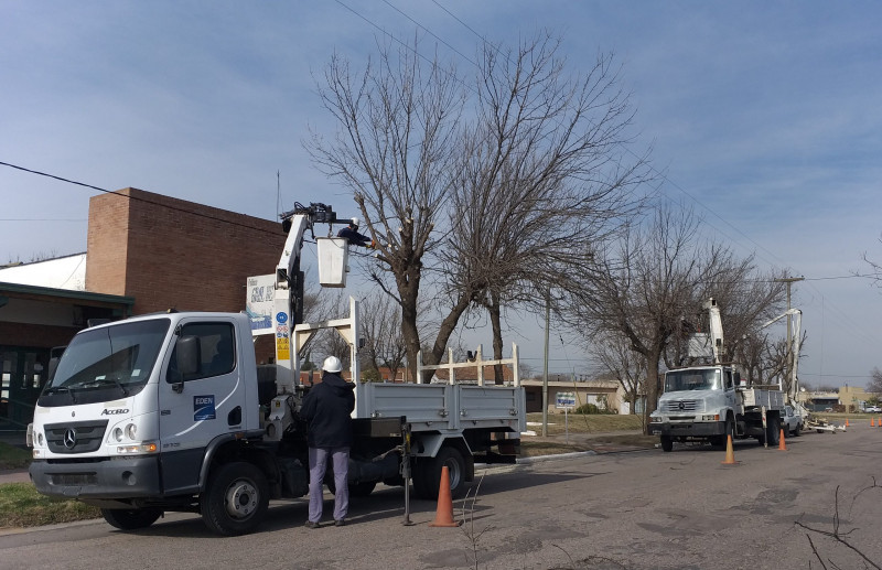 EDEN realizará tareas de poda