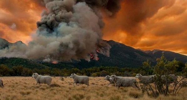 Chubut: el incendio en el Parque Nacional Los Alerces ya llegó al Lago Cholila