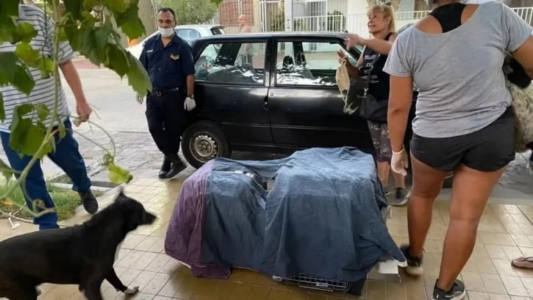 Denuncian que una mujer asesinaba perros y gatos para «alargar su vida»