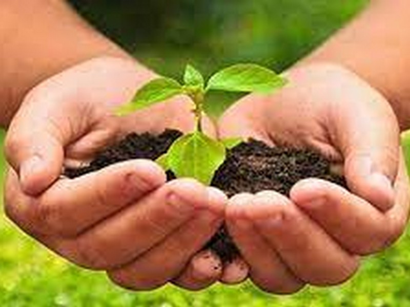Diplomatura Universitaria de Posgrado en Agroecología