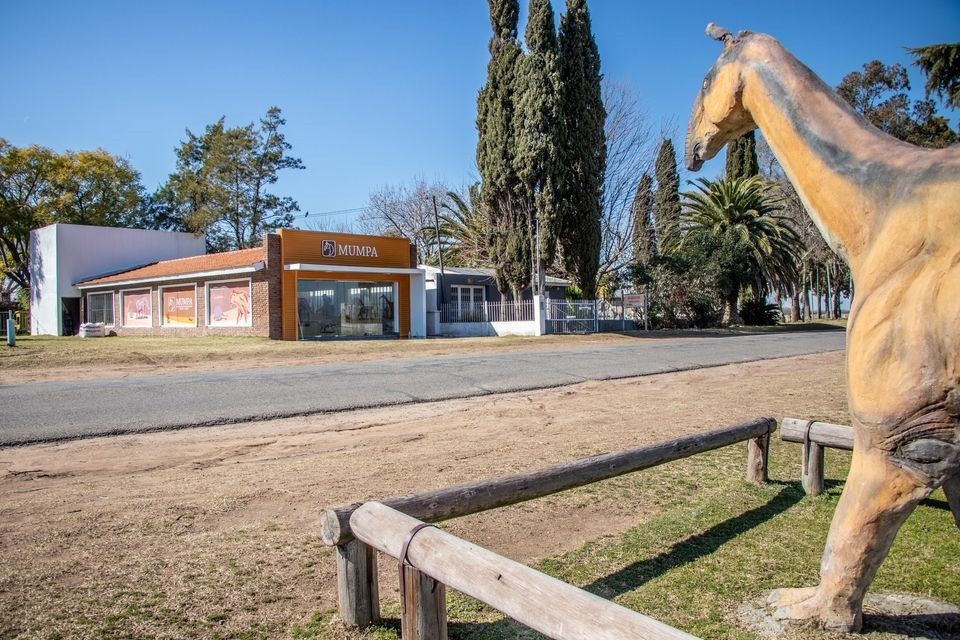 Convocatoria para las visitas guiadas a museos de nuestra ciudad