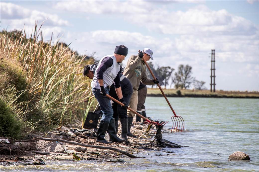 Limpieza y recolección de residuos en las costas del río Salado