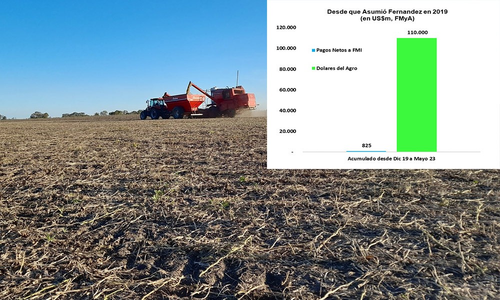 Le advierten al poder del enorme impacto económico de la sequía