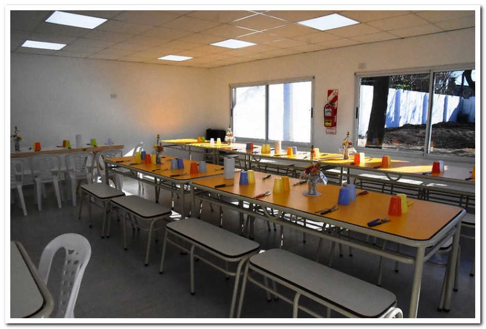 Concejales piden informes sobre casos de intoxicación en una escuela