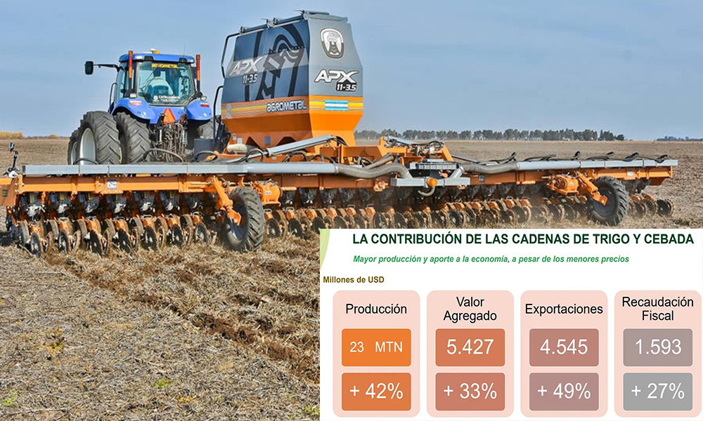 El trigo y la cebada le aportarán más de US$ 1500 millones al próximo gobierno