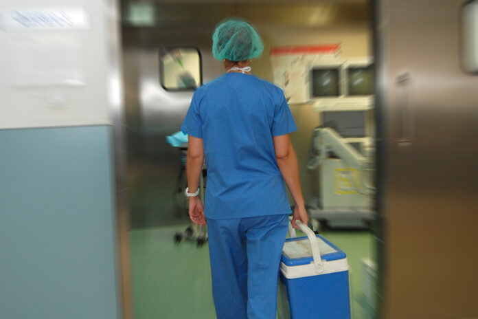 El director del Incucai cruzó a Milei por su propuesta de vender órganos