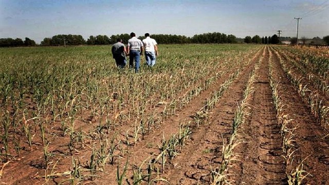 Productores afirman que no llegan las ayudas por la sequía