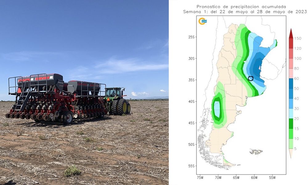 Junín: a las puertas de la siembra de trigo, el SMN anunció más lluvias