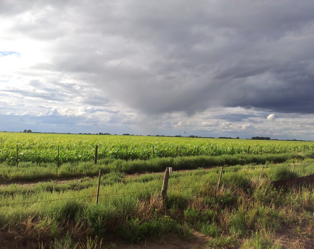 El Niño ya comenzó su transición en territorio nacional