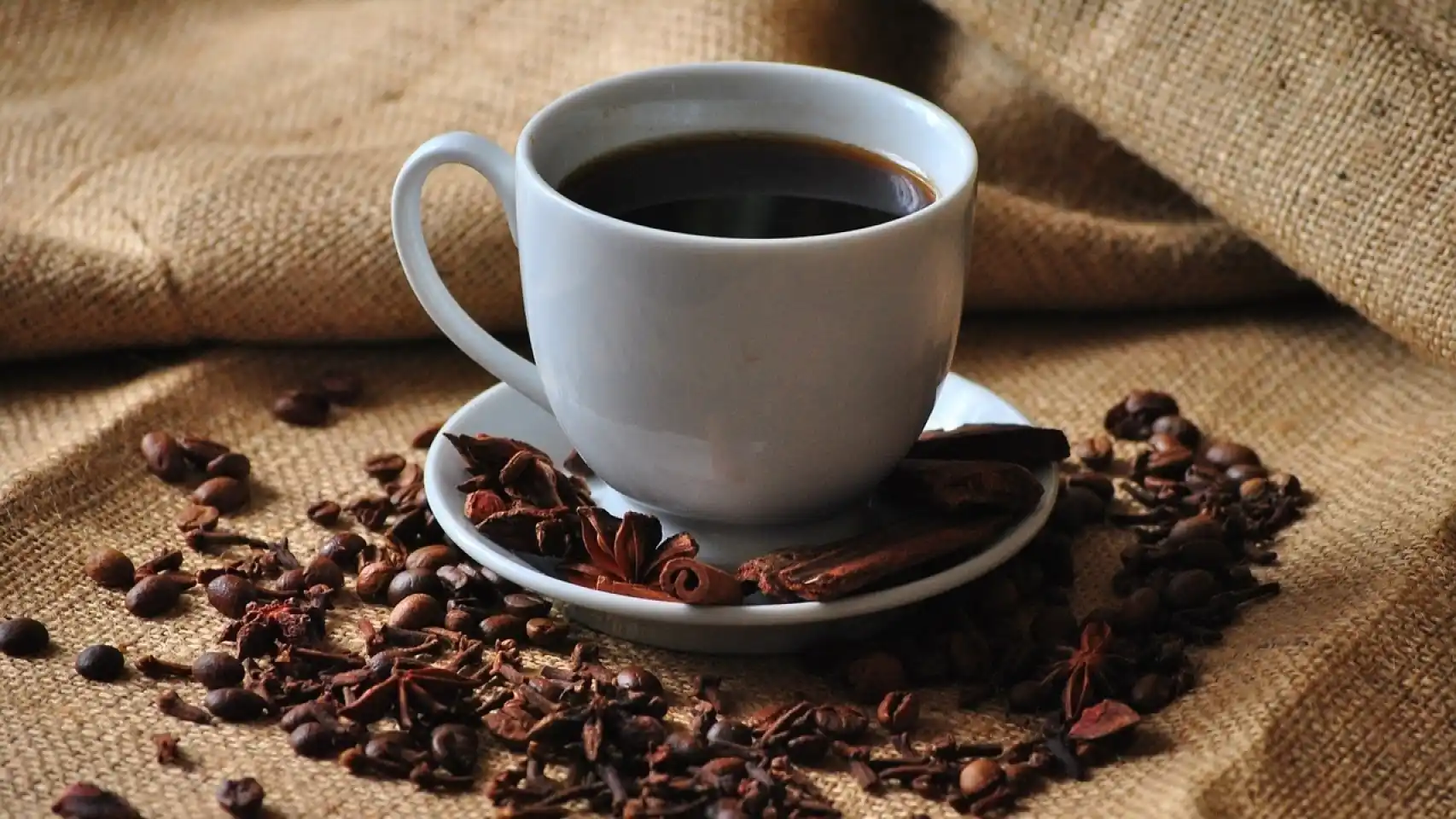 Hablemos de café