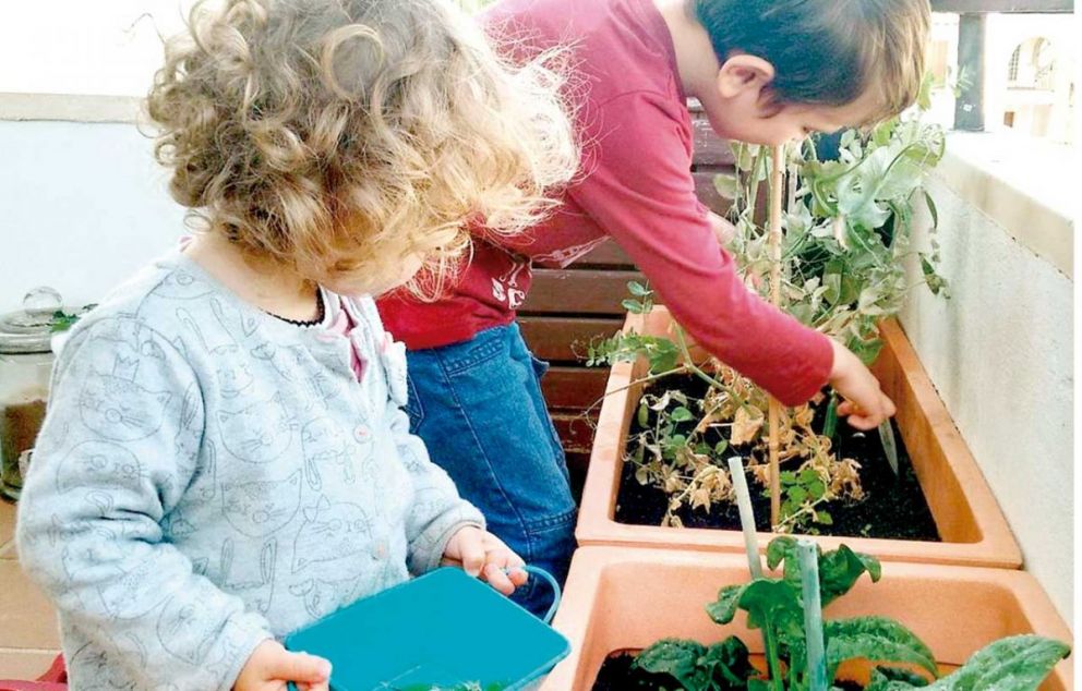 Huerta urbana, claves para producir alimentos en el hogar