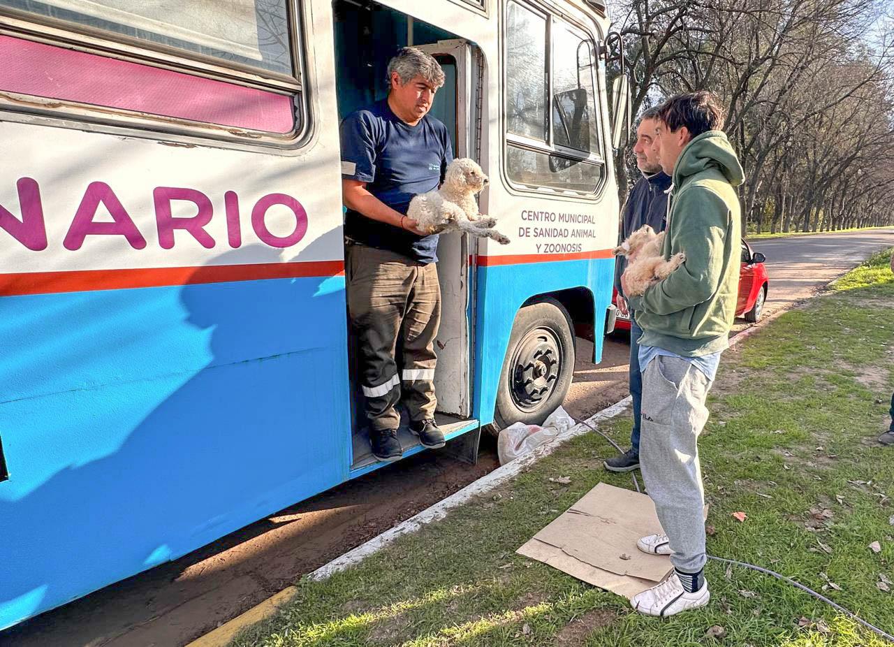 Operativo de castración y vacunación antirrábica en Agustina