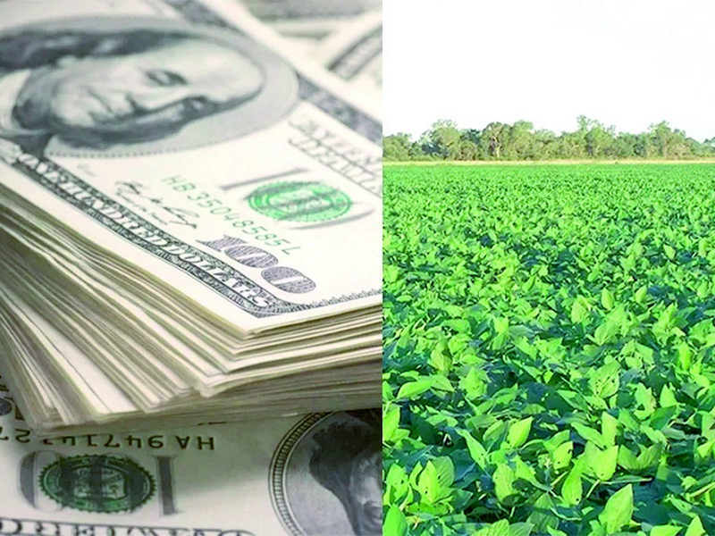 Dólar agro: para Barbieri, “siguen las medidas aisladas”