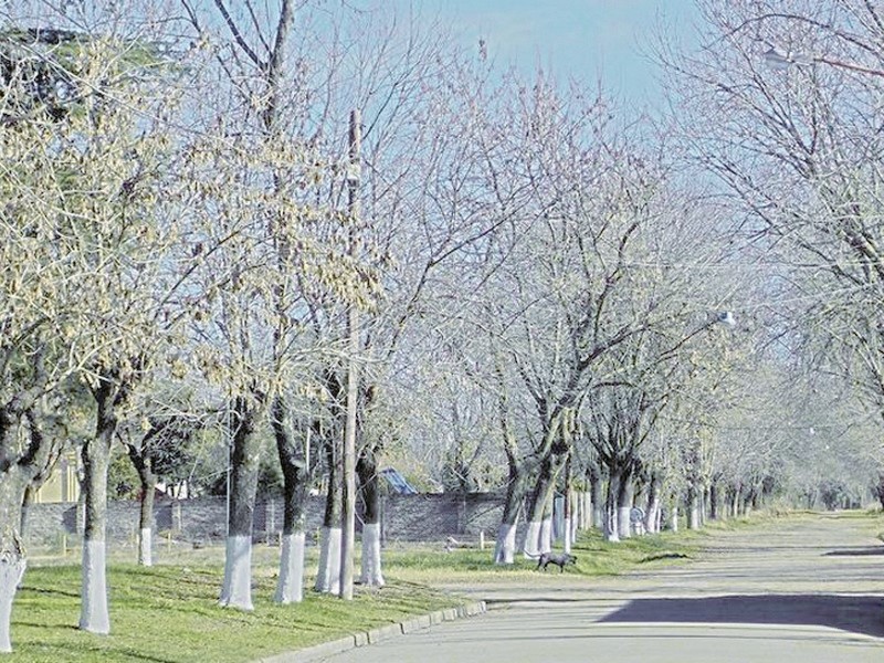 Sin novedades por la obra  del acceso y dársena en Saforcada