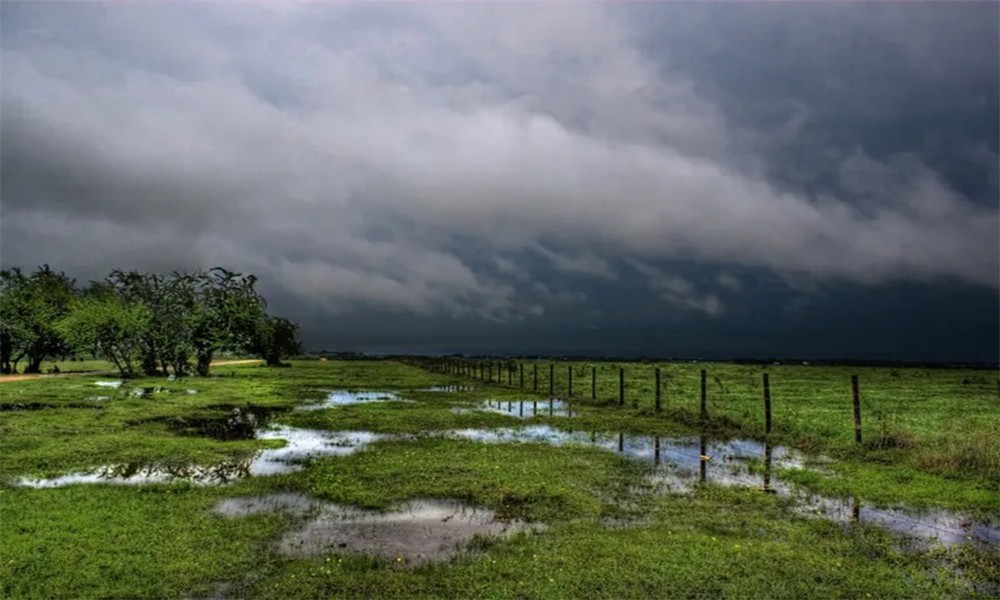 La primavera vendría con buenas noticias para el campo