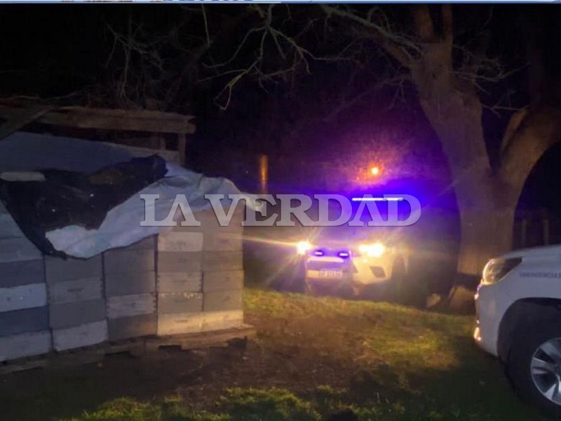 Recuperan colmenas que habían sido robadas