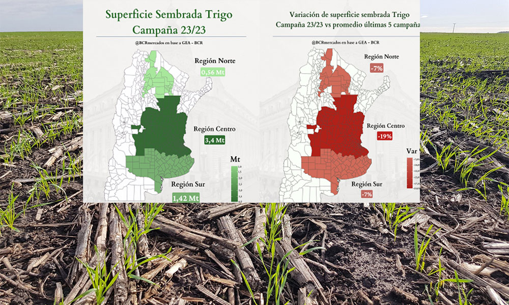 La estimación de producción de trigo es la más baja en ocho años