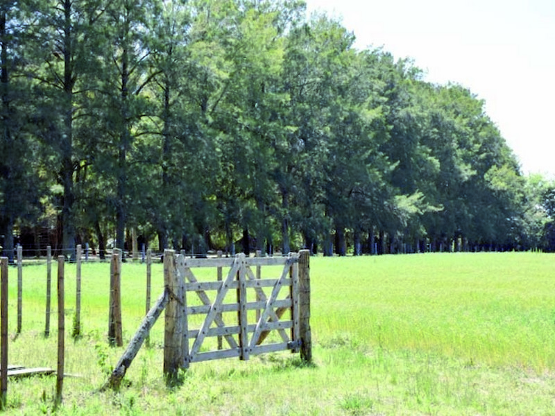 9 de Julio: se lanzó el “Programa de recuperación productiva para arrendatarios”