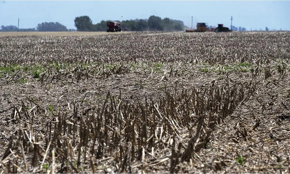 Cambió la expectativa climática, “El Niño” pasó de fuerte a moderado