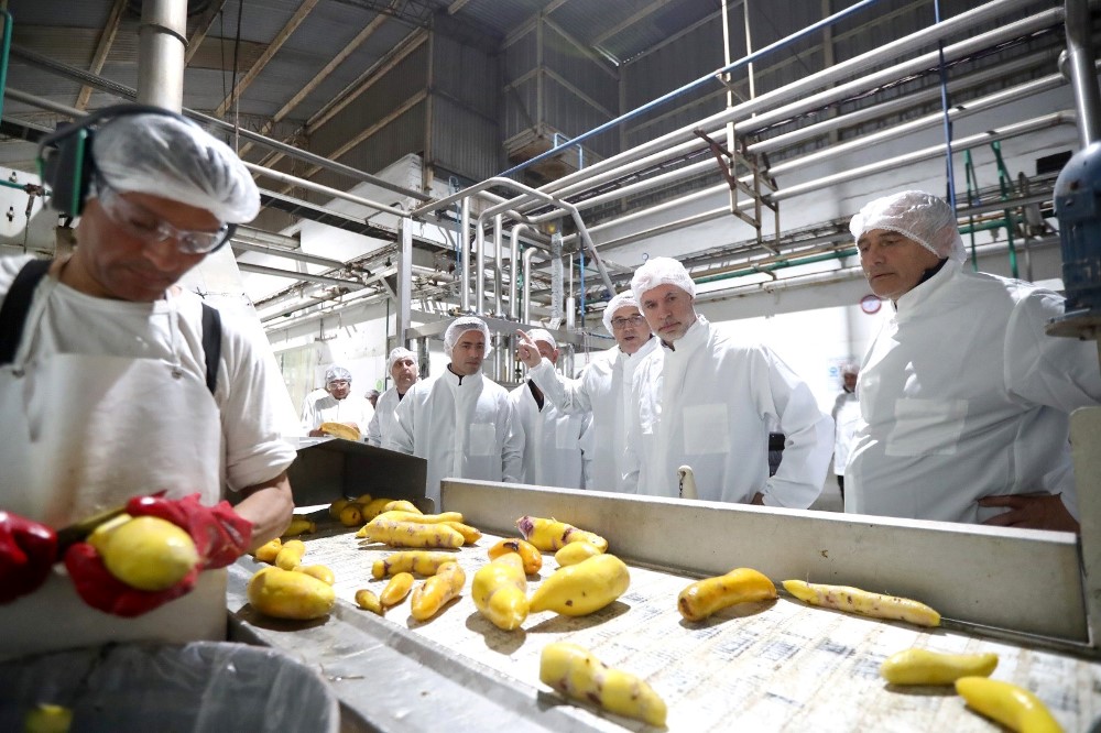 “La mayoría de los argentinos coincide en que este país se arregla trabajando y no a las trompadas”