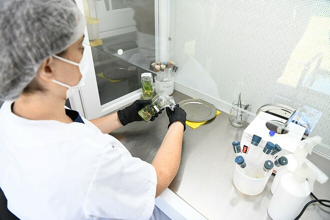 Rodríguez: «Generamos desarrollos que permiten mejorar la producción bonaerense»