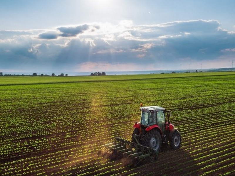 Habrá retención cero para productos de economías regionales
