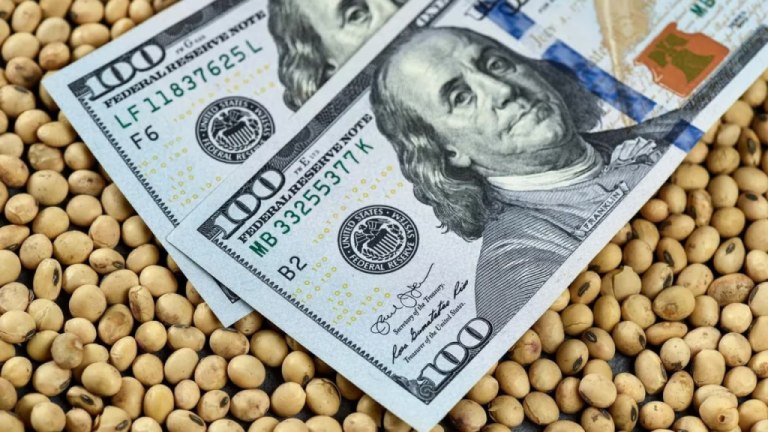 Ya se vendieron 5 millones de toneladas de granos con el nuevo dólar agro