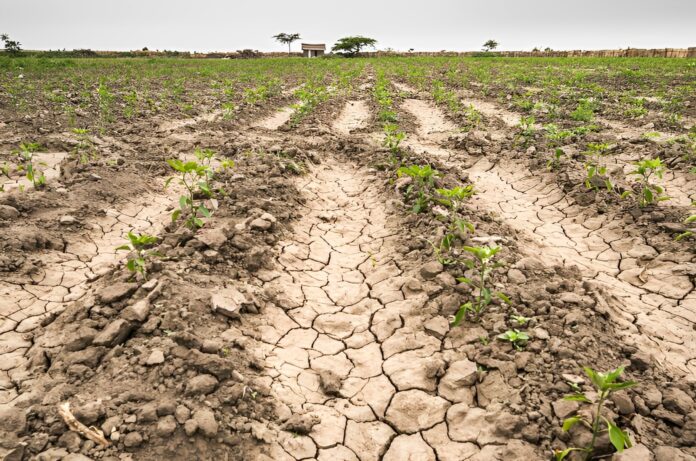 Provincia decretó la emergencia agropecuaria en Rivadavia