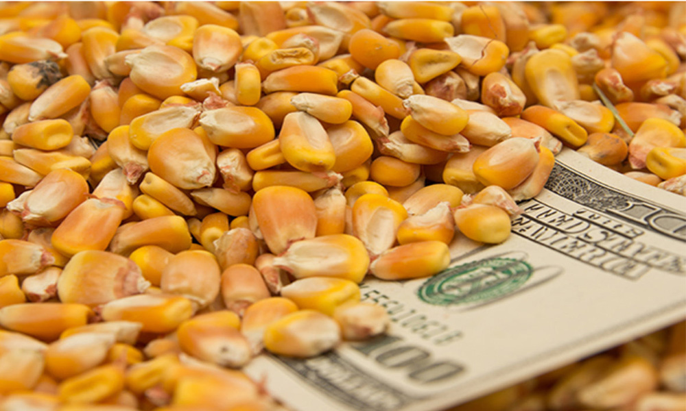 Tras la devaluación de este lunes, quedó obsoleto el Dólar Agro