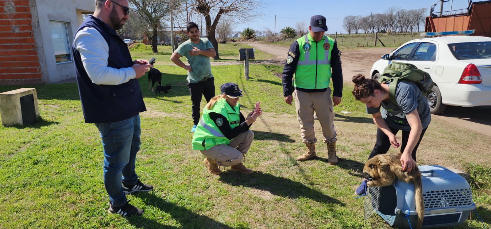 Rescataron a un mono de una vivienda de Juan B. Alberdi