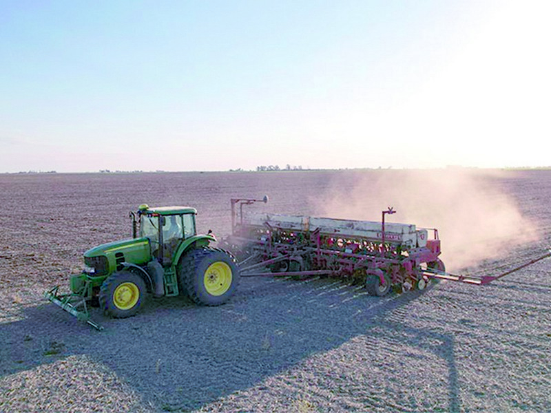 Se achicó la zafra de trigo y aparecen dudas con el maíz