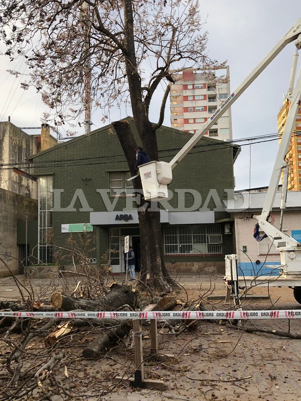 Retiraron un viejo kiri sobre la calle Hipólito Yrigoyen