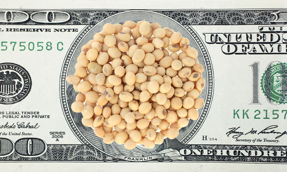 Con este nuevo dólar Soja IV, qué pasa con el precio