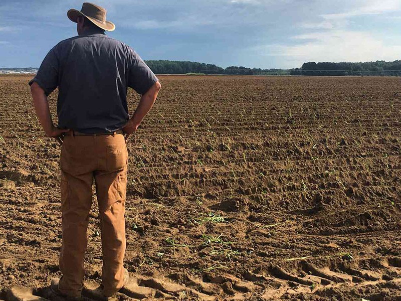 La incertidumbre paralizó las operatorias en las empresas agro