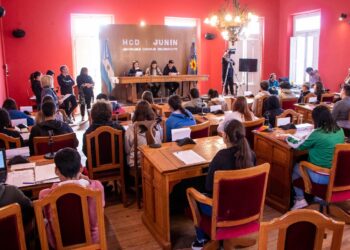 Concejo Estudiantil: los chicos legislan en serio