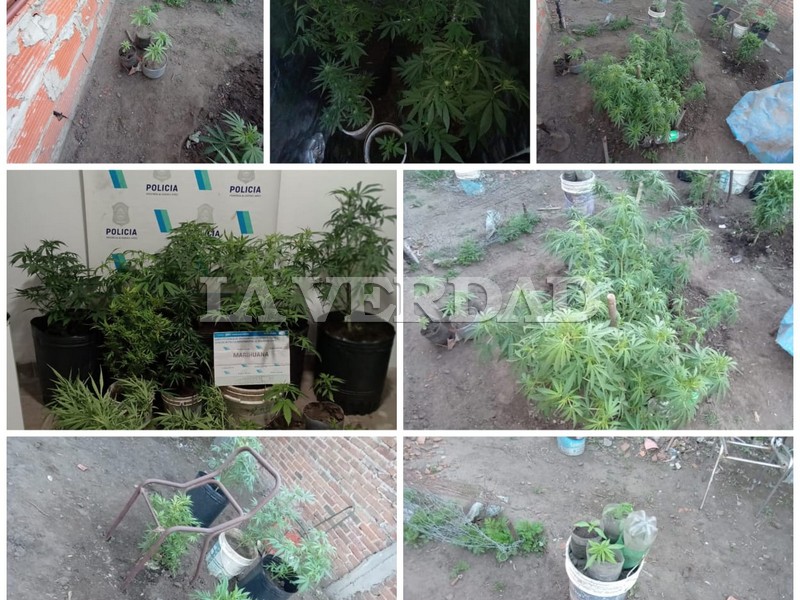 Droga secuestrada y aprehendidos