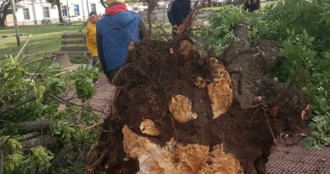 Intensos trabajos para reparar los daños que dejó la tormenta