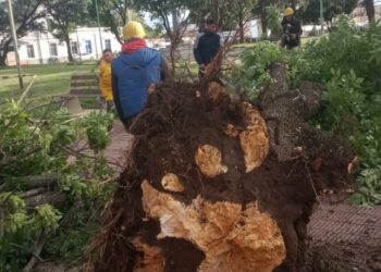 Intensos trabajos para reparar los daños que dejó la tormenta