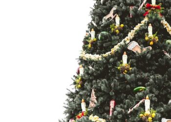 Todo lo que deberías saber sobre los árboles de Navidad