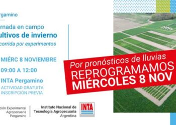 Cultivos de invierno: recorrida por experimentos