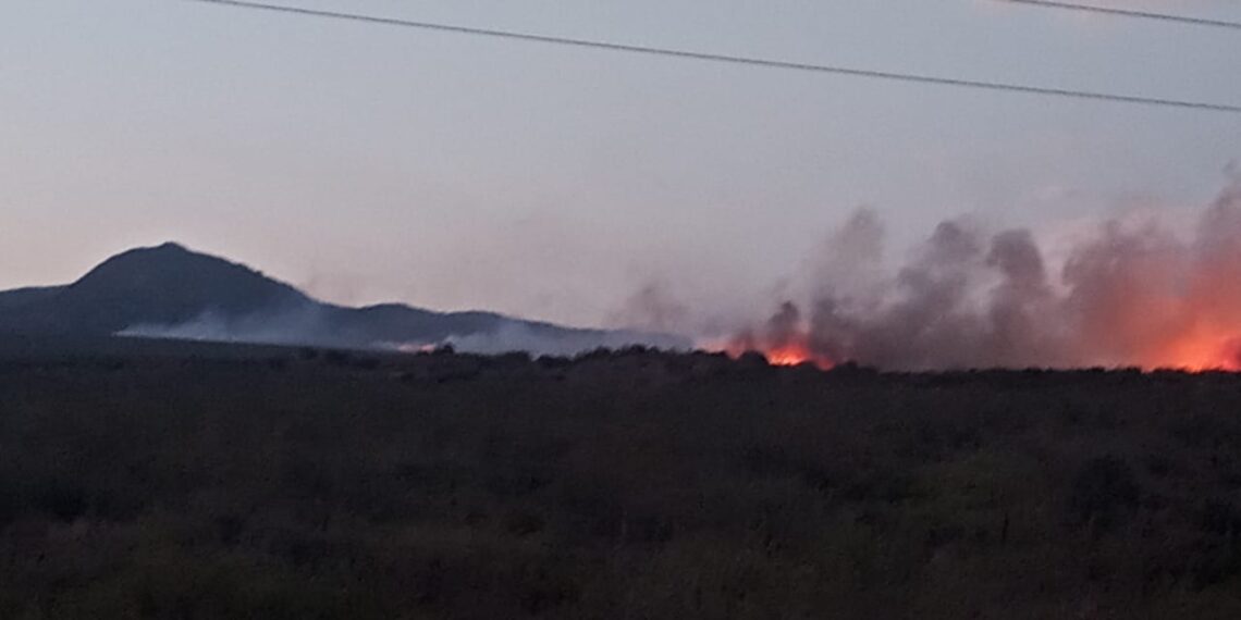 Fuego en Mendoza: Bomberos de Junín se dirigen al lugar de la emergencia