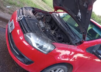 Se incendió un auto