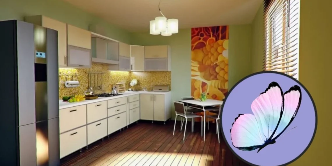 Qué significa que aparezca una mariposa en tu casa